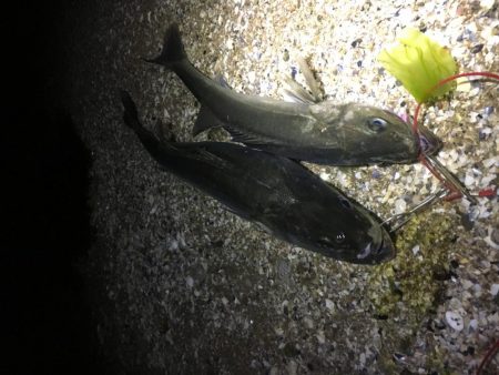 ねばってよかった