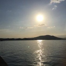 春らしくなった