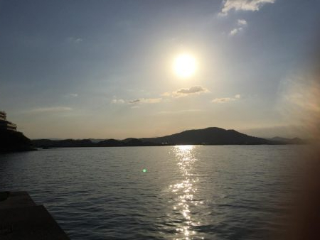 春らしくなった