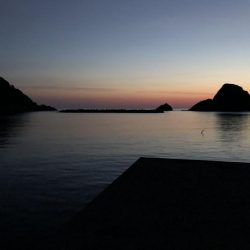 アジ釣り③シーズン到来