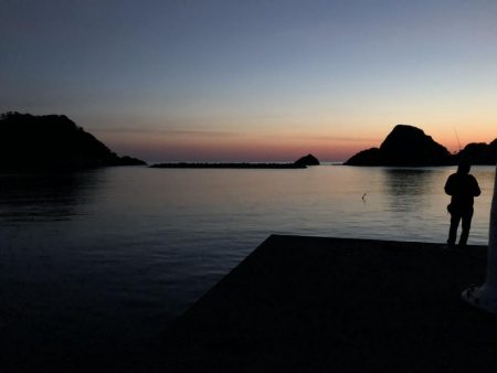 アジ釣り③シーズン到来