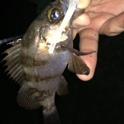 やっぱり足下は強かった…