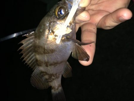 やっぱり足下は強かった…