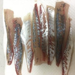 エギング、アジング