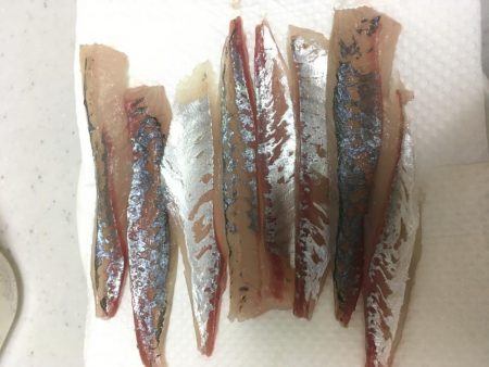 エギング、アジング