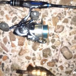 苦手な江井ヶ島で得意の小潮メバリング