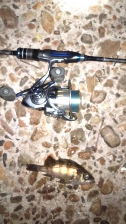 苦手な江井ヶ島で得意の小潮メバリング