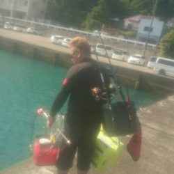 アオリイカとタコ