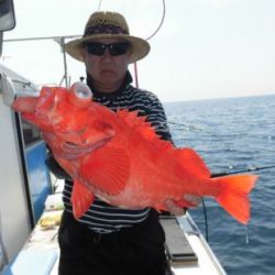 土佐安芸のハマちゃん