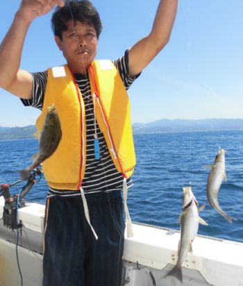 土佐安芸のハマちゃんの釣果