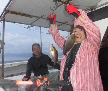 土佐安芸のハマちゃん