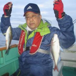 土佐安芸のハマちゃんの釣果