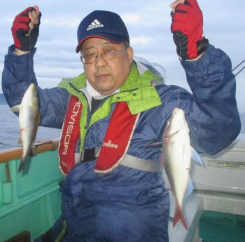 土佐安芸のハマちゃんの釣果