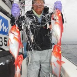 土佐安芸のハマちゃんの釣果