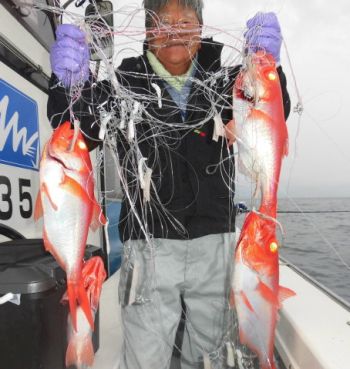 土佐安芸のハマちゃんの釣果