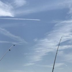 投げ釣りでキス