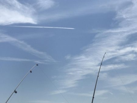 投げ釣りでキス