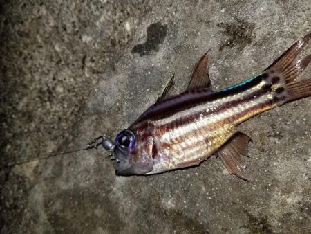 荷取川漁港　宮古島