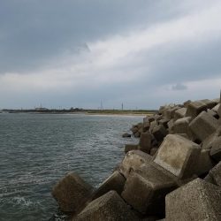 はじめてきました