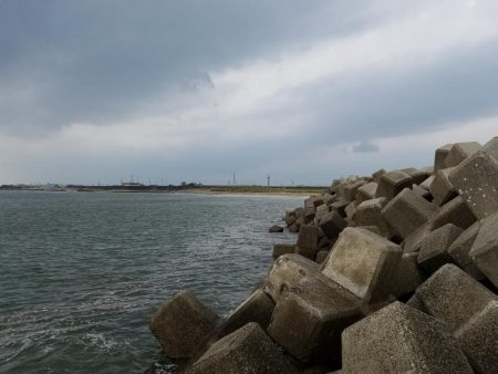 はじめてきました