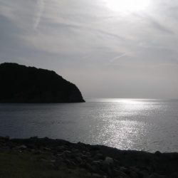 まさかの魚が釣れました