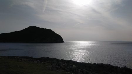 まさかの魚が釣れました