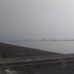 青物シーズン開幕❓