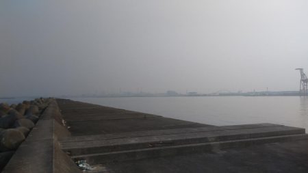 青物シーズン開幕❓