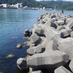 久々の陸っぱりエギング(コウイカ狙い)