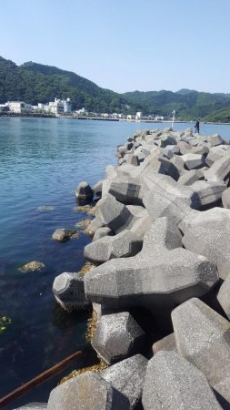 久々の陸っぱりエギング(コウイカ狙い)