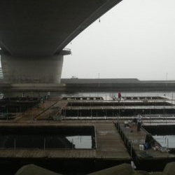 雨　時々　イサギ