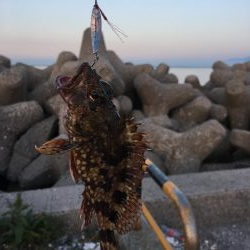 メバリングとガシリング