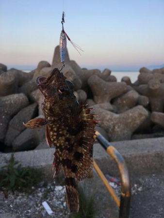 メバリングとガシリング