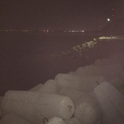 日課のナイトゲーム