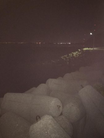 日課のナイトゲーム