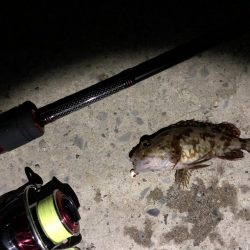 秋田火力メバリング、20cmの壁が厚く高い