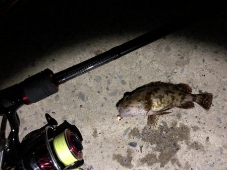 秋田火力メバリング、20cmの壁が厚く高い