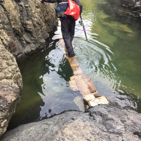 久しぶりのロックシャア