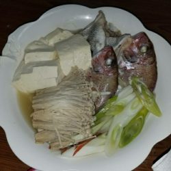 ノッコミ鯛の最終調査