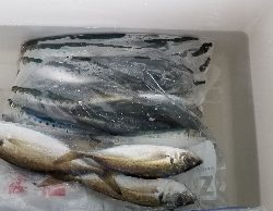 とっとパーク小島