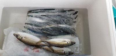 とっとパーク小島