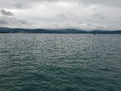 イワシ釣り　～ヒラメが出た！～