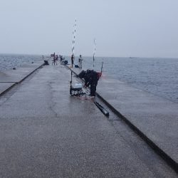 やっぱり大雨に…