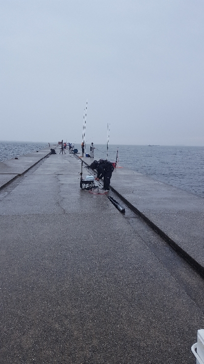やっぱり大雨に…