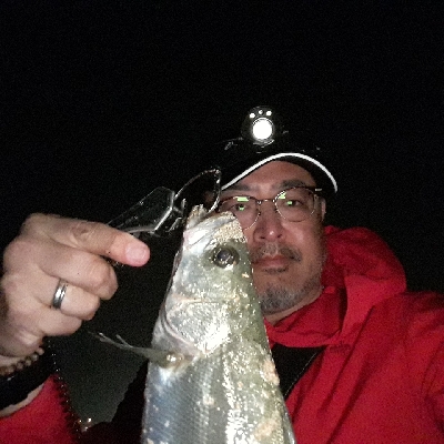 なんとか、バチ抜け～