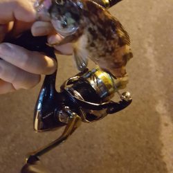 雨上がりベタ凪ぎ弱風