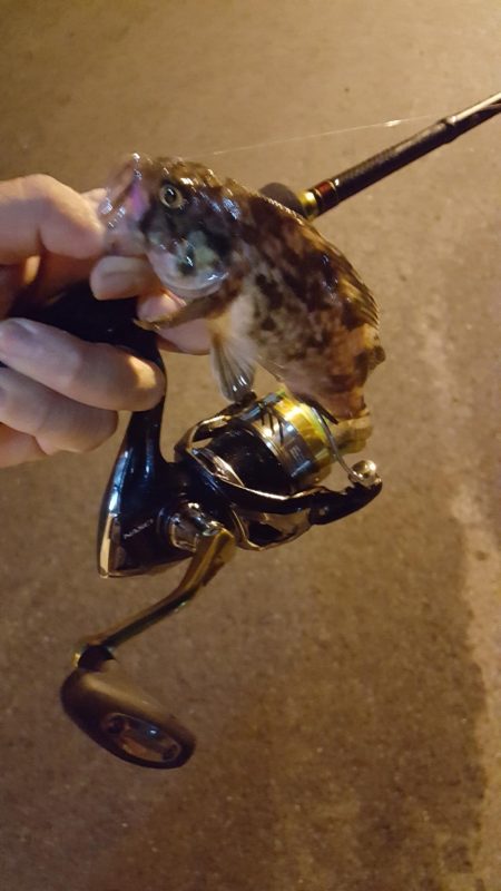 雨上がりベタ凪ぎ弱風