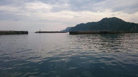 キス 調査 浜坂編