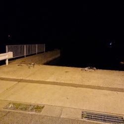 今宵もメバリング