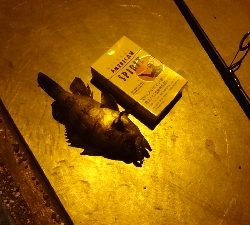 物足りない釣果